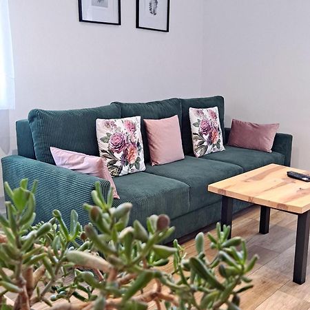 Apartament Dzika Roza Kowary Exterior foto